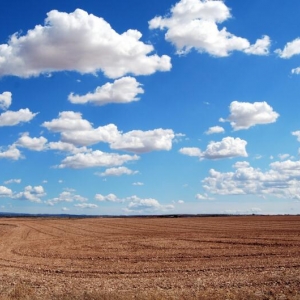 第二輪土地承包到期后再延長三十年試點部際聯(lián)席會議制度